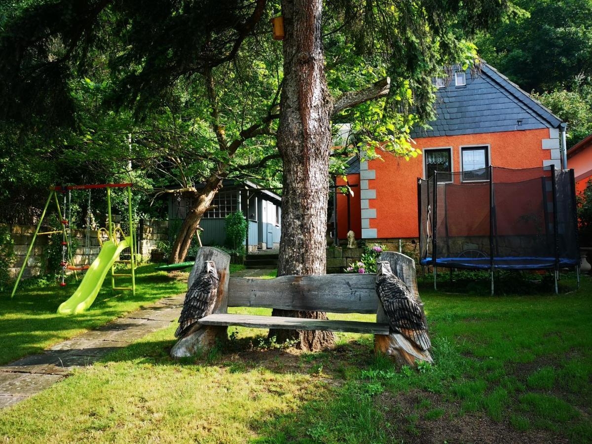 Ferienhaus Franz - An Der Elbe, Mit Grossem Garten Pirna Exterior foto