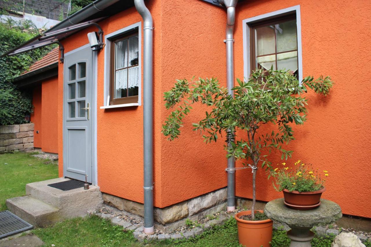 Ferienhaus Franz - An Der Elbe, Mit Grossem Garten Pirna Exterior foto